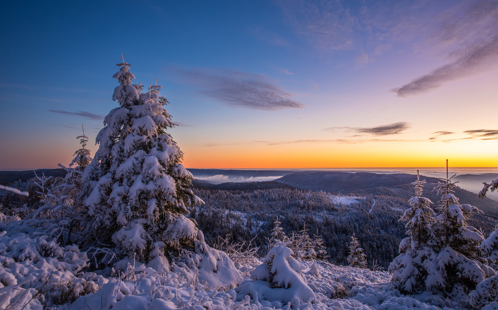 Liebe Weihnachtsgrüße aus dem Schwarzwald