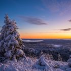 Liebe Weihnachtsgrüße aus dem Schwarzwald