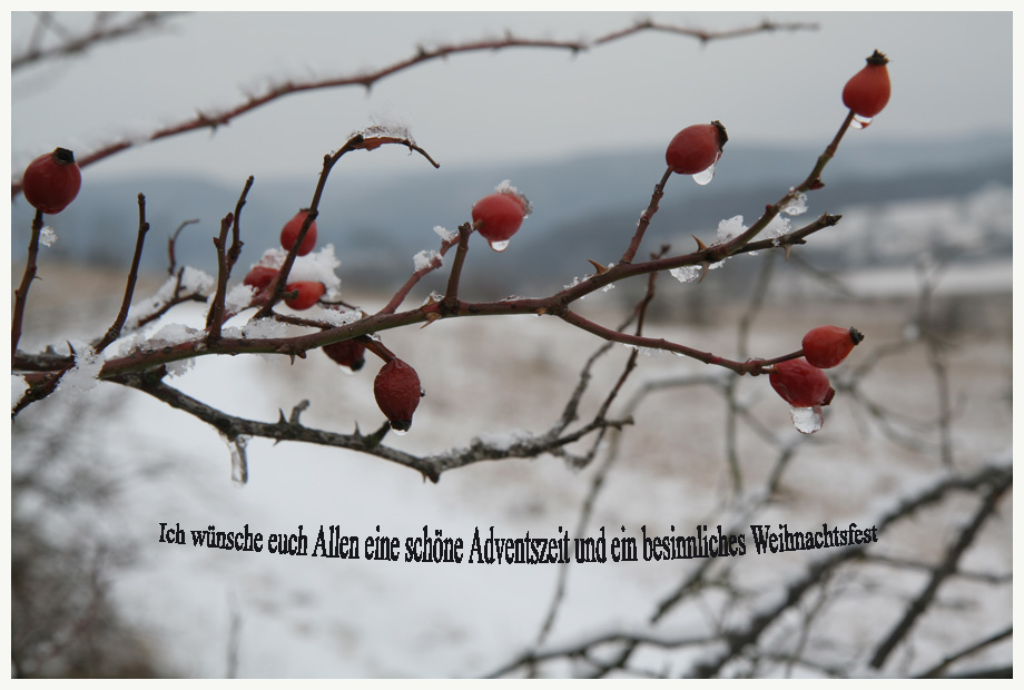 Liebe Weihnachtsgrüße