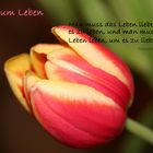 Liebe zum Leben