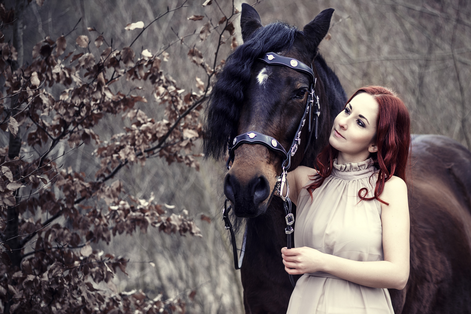 Liebe zum Pferd Foto & Bild erwachsene, pferd, romantisch Bilder auf