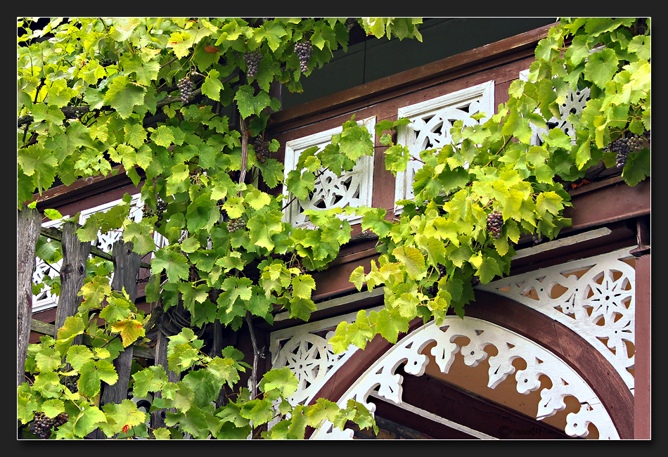 Liebenswertes Bacharach