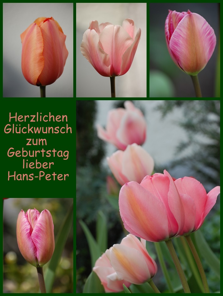 Lieber Hans-Peter,