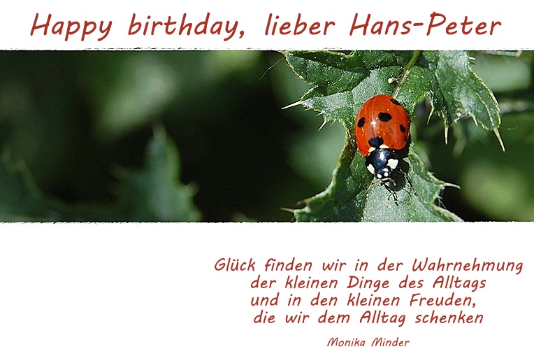 Lieber Hans-Peter,