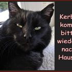 Lieber Kerbi, komm bitte wieder nach Hause!!!