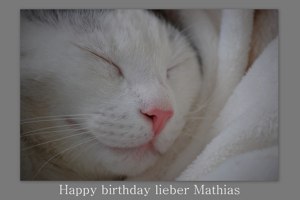 Lieber Mathias,