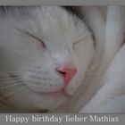 Lieber Mathias,