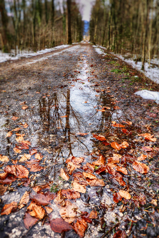 < Lieber richtig Winter... >