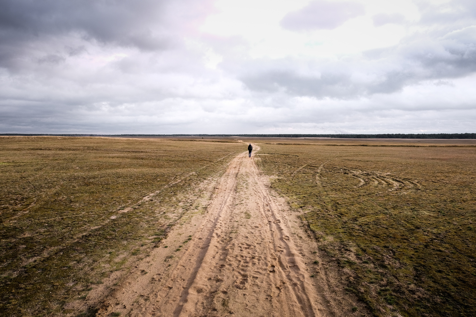 Lieberoser Heide 