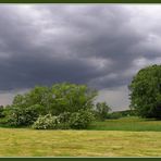 Lieberoser Wiesenlandschaft (I)