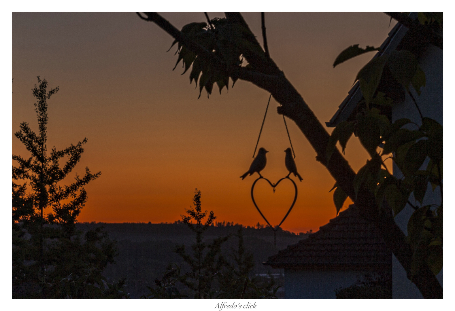 Liebes Gezwitscher zur Abendröte