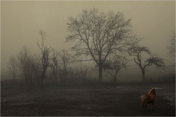 Liebes Tagebuch ... (2)