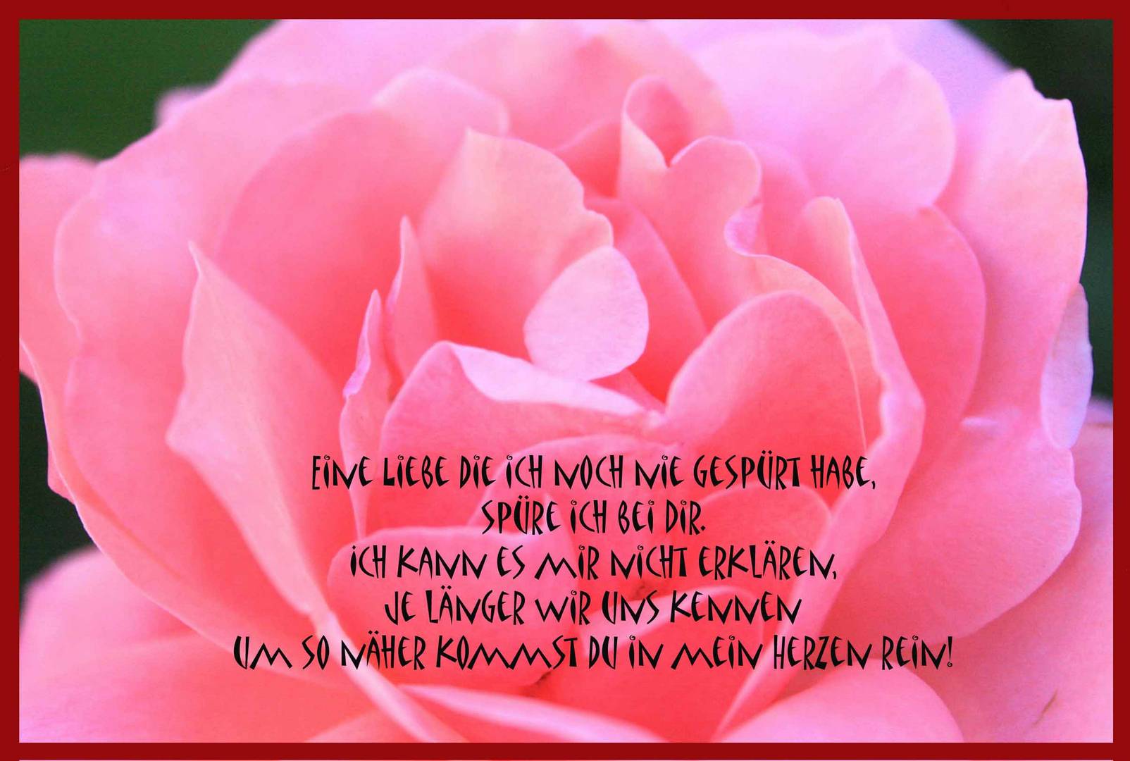 Liebesbeweis Foto & Bild karten und kalender, dankeschön, liebe