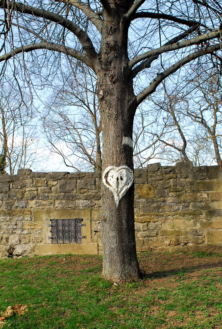 Liebesbotschaft in der Natur 