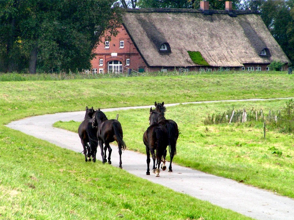 Liebeserklärung an die Oste