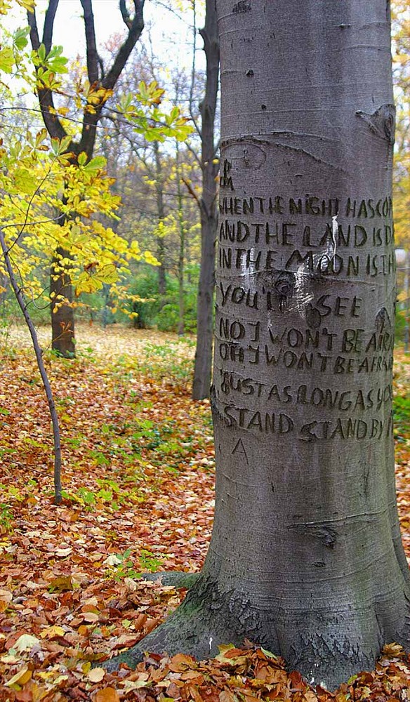 ...Liebeserklärung im Herbst...