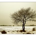 Liebesgeflüster im Schnee . . .