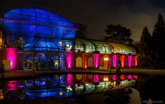 Liebesglück im Palmengarten