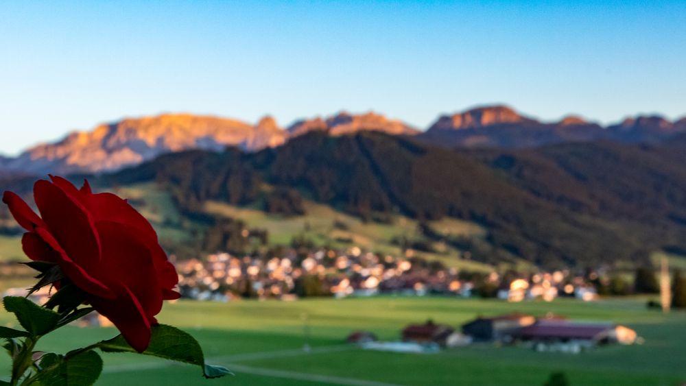 Liebesgrüße aus dem Allgäu