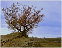 Liebesinsel im Edersee