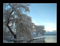 Liebesinsel im Schnee