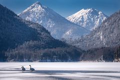 Liebespaar am Alpsee bei Füssen