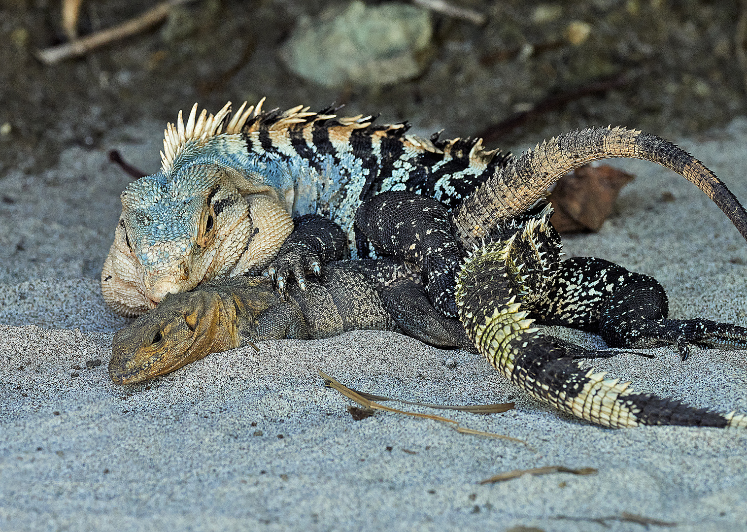 Liebespaar am Strand