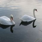 Liebespaar auf dem Aasee in Bocholt