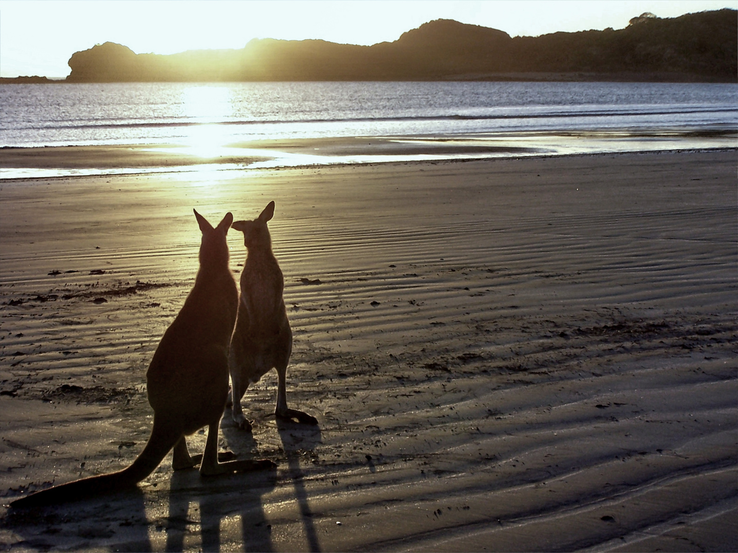 Liebespaar im Sonnenaufgang am Rainbow Beach, Queensland, Australia