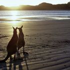 Liebespaar im Sonnenaufgang am Rainbow Beach, Queensland, Australia