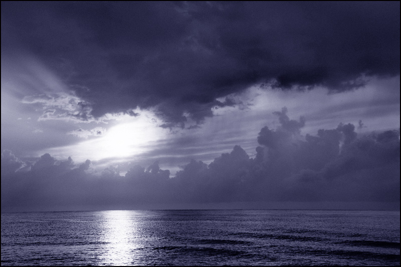 Liebesrausch - Bild & Foto von Schu Ting aus LIEBE - Fotografie