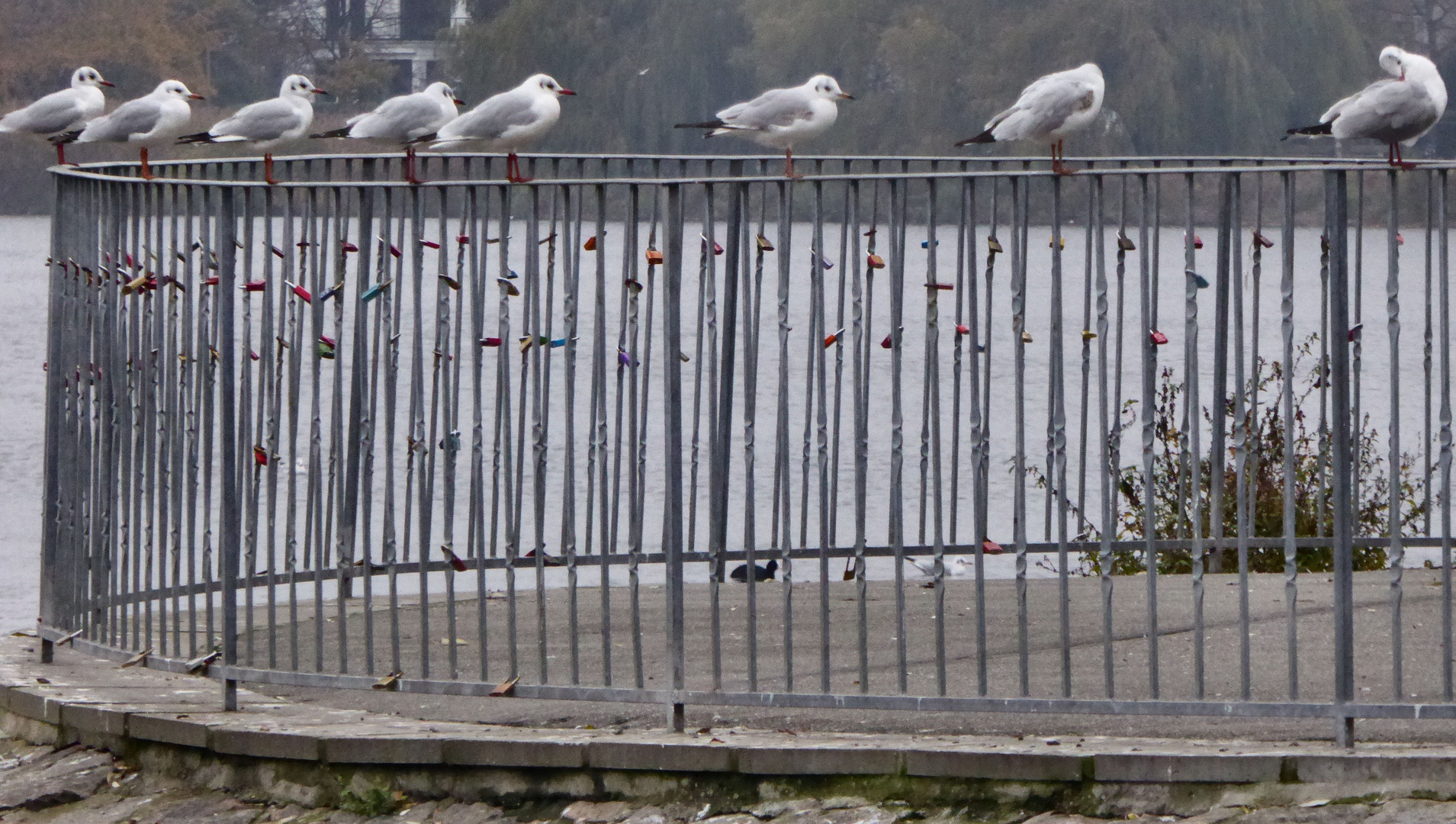 Liebesschlösser in der Sparversion