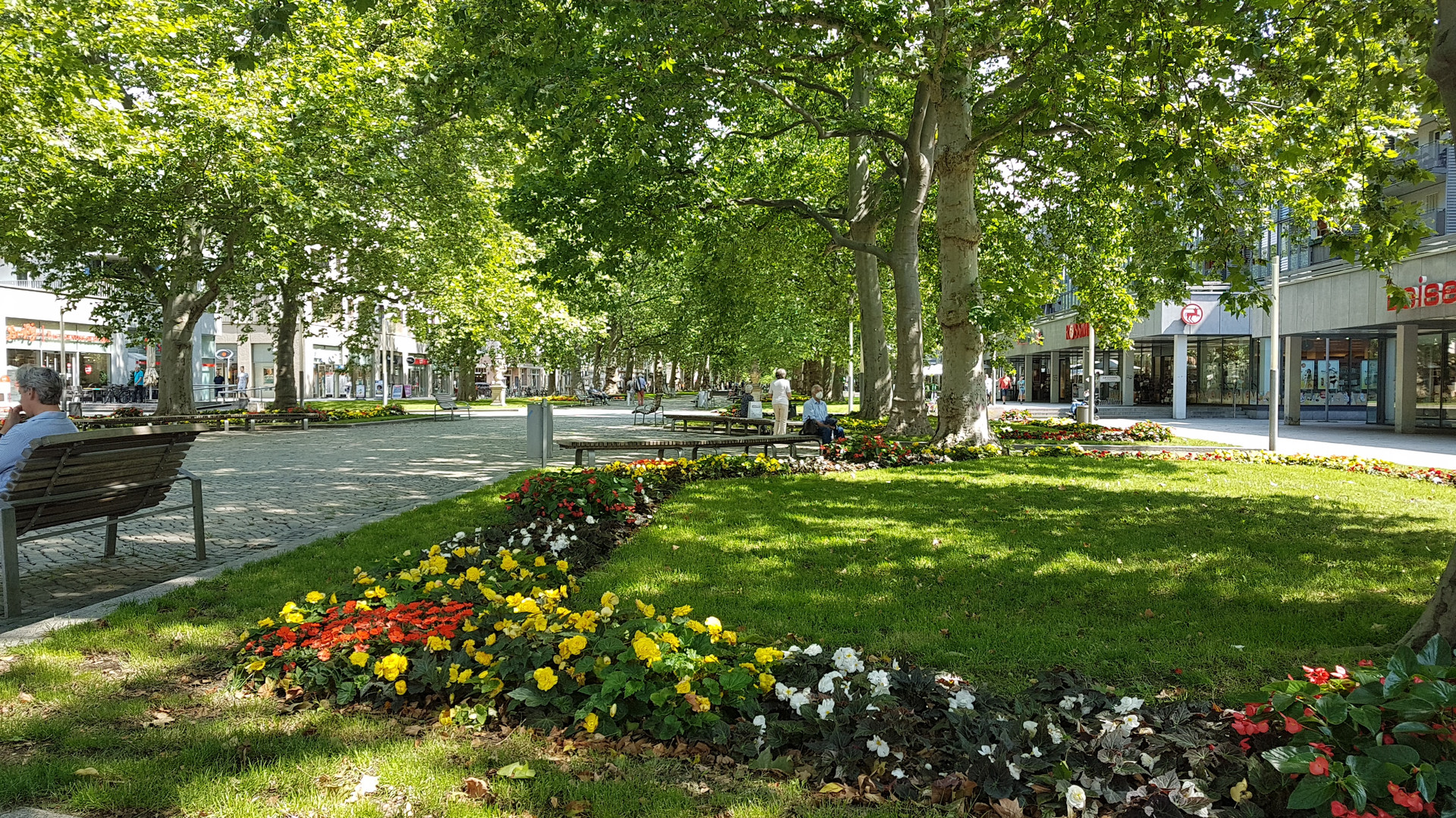 Liebevoll gestaltete Blumenrabatten in der Dresdner Neustadt (am "Goldenen Reiter")