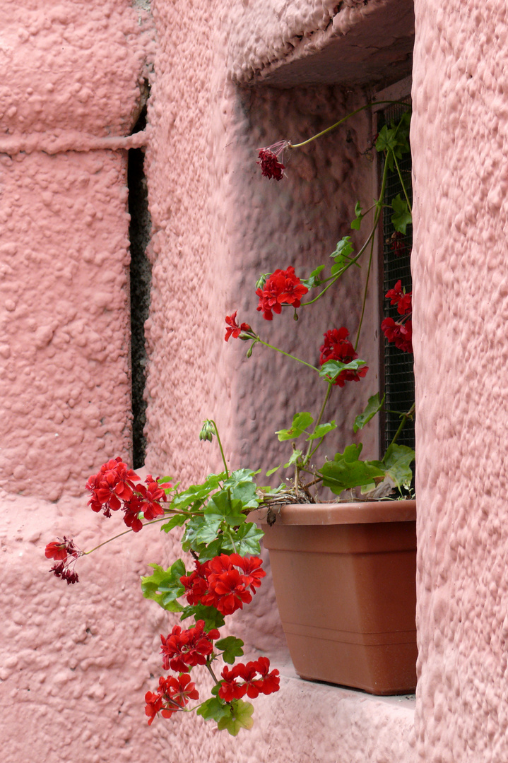 Liebevoller Blumenschmuck