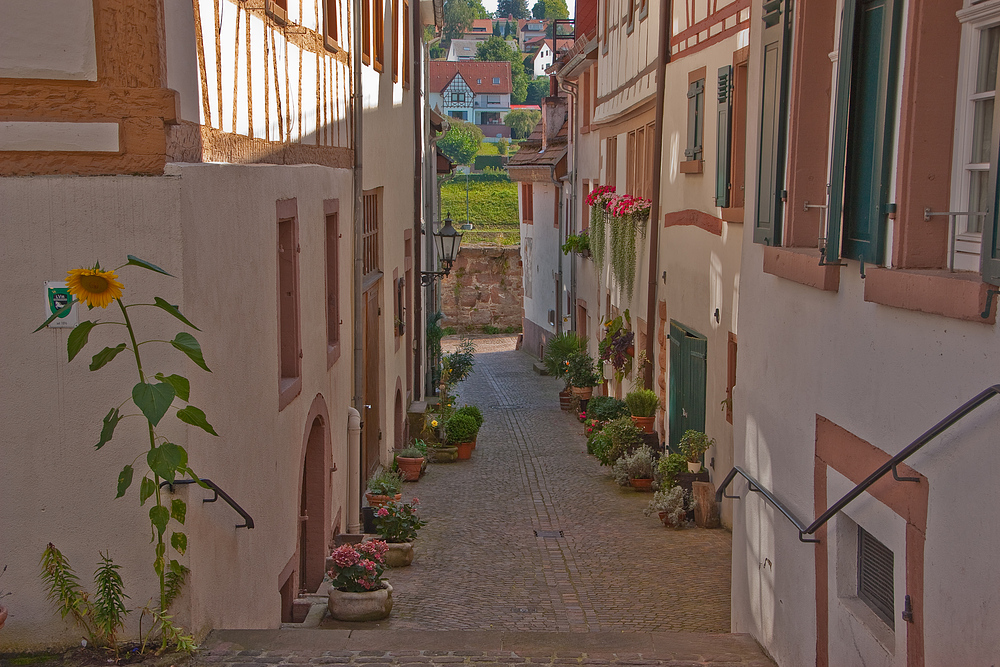 Liebevoller Blumenschmuck in der Altstadt von Hirschhorn