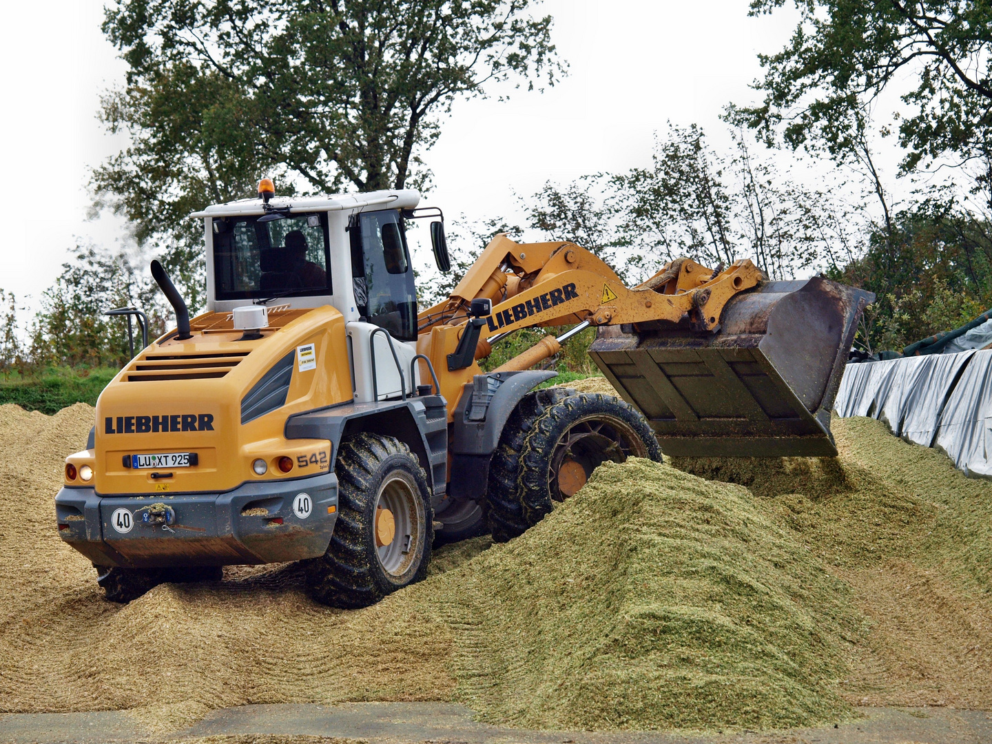 Liebherr 542 mit seinem Einsatzgewicht von 13320 kg als Maiswalze und Schieber.