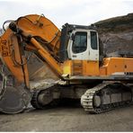 Liebherr 974 B