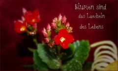 Lieblich.......