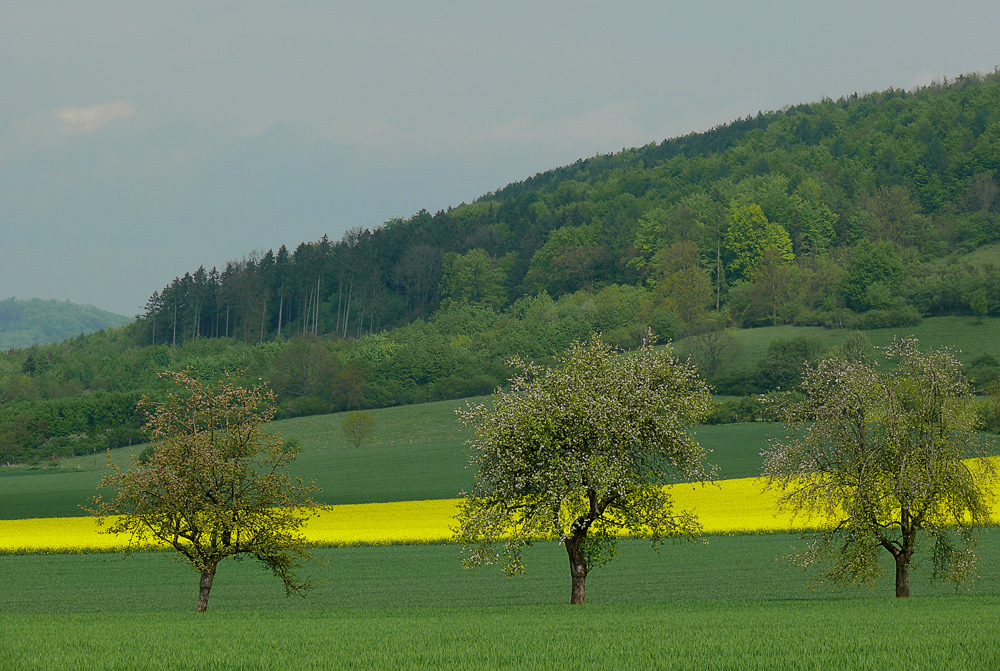 Liebliche Landschaft