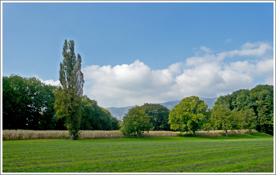 liebliche Landschaft