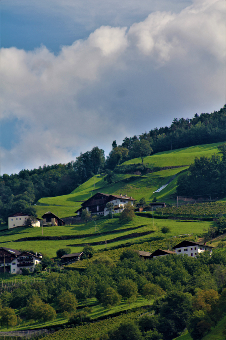 liebliche Landschaften bei der Fahrt durch Österreich