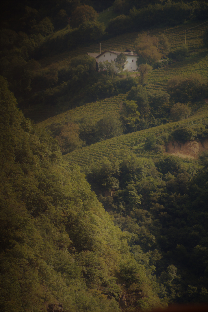 liebliche Landschaften fliegen vorbei ,