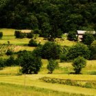 liebliche Landschaften in Slovenien 2