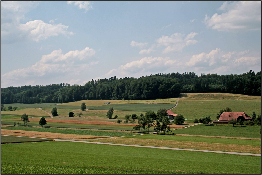 lieblicher Buechibärg