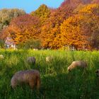 Lieblicher Herbst