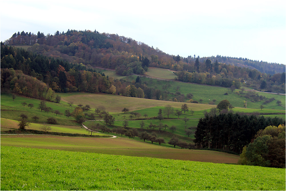 Lieblicher Odenwald