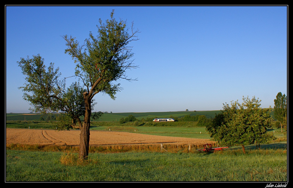 Liebliches Elsass