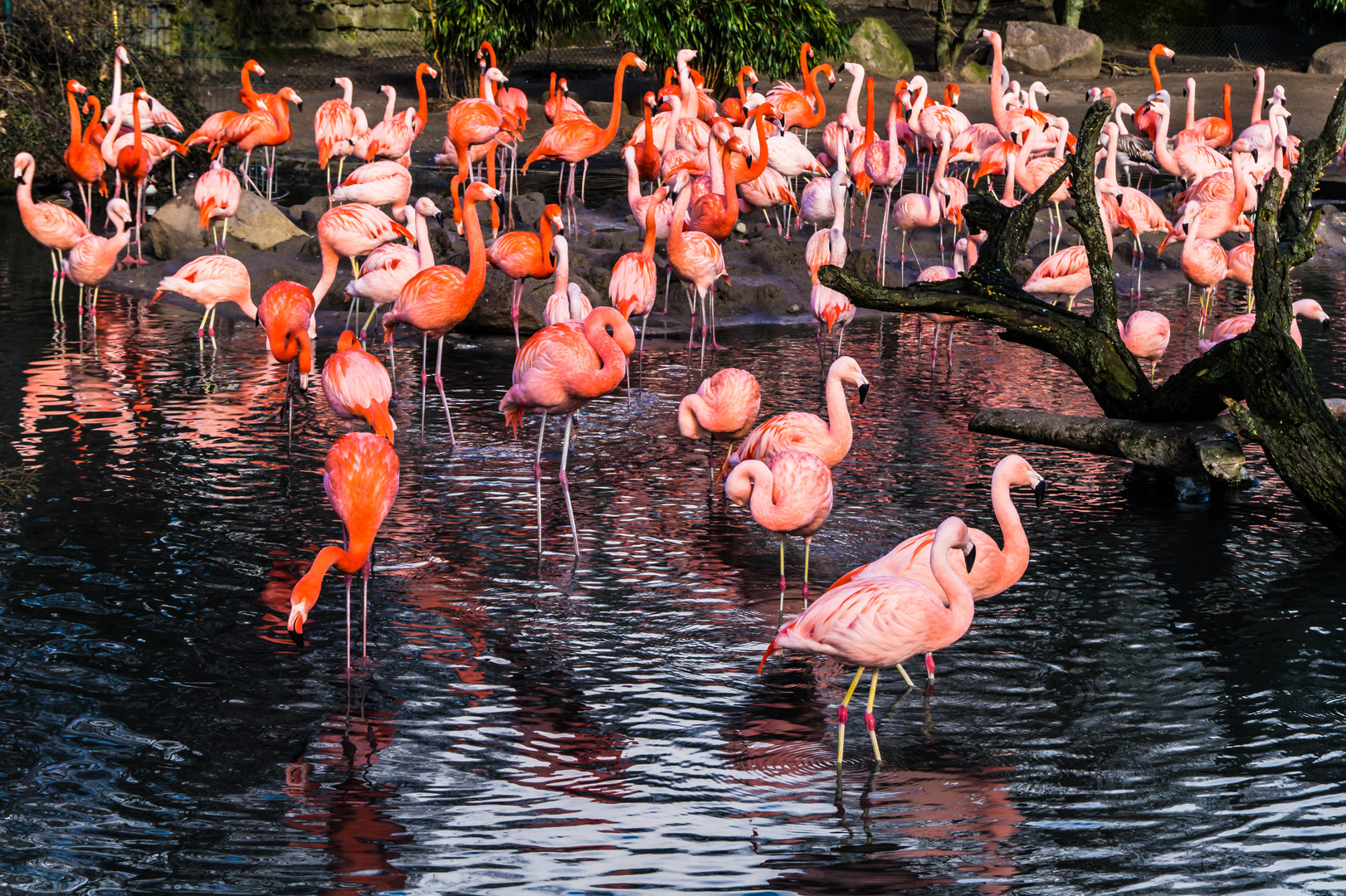 Lieblinge im Tierpark Hagenbeck in Hamburg