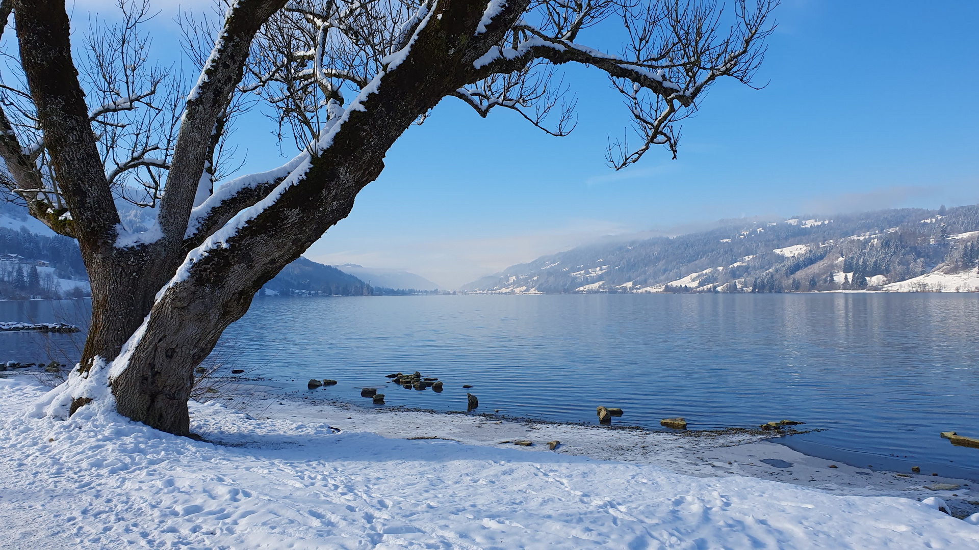 Lieblingsbaum am Lieblingsort mit Lieblingsblick