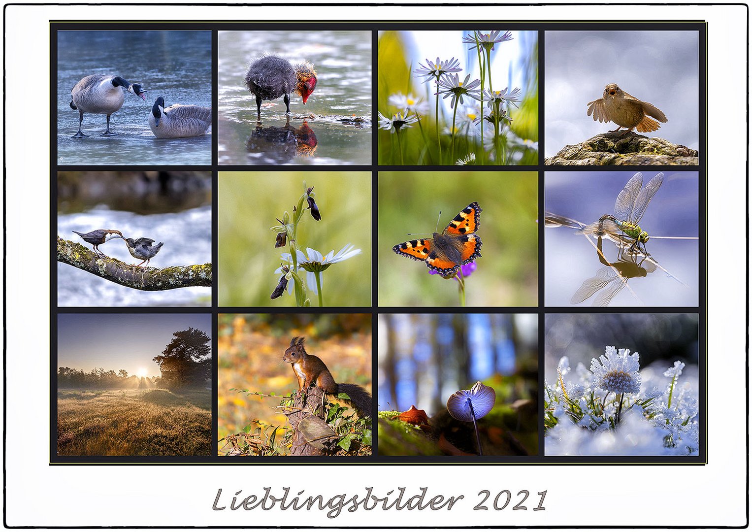 Lieblingsbilder 2021